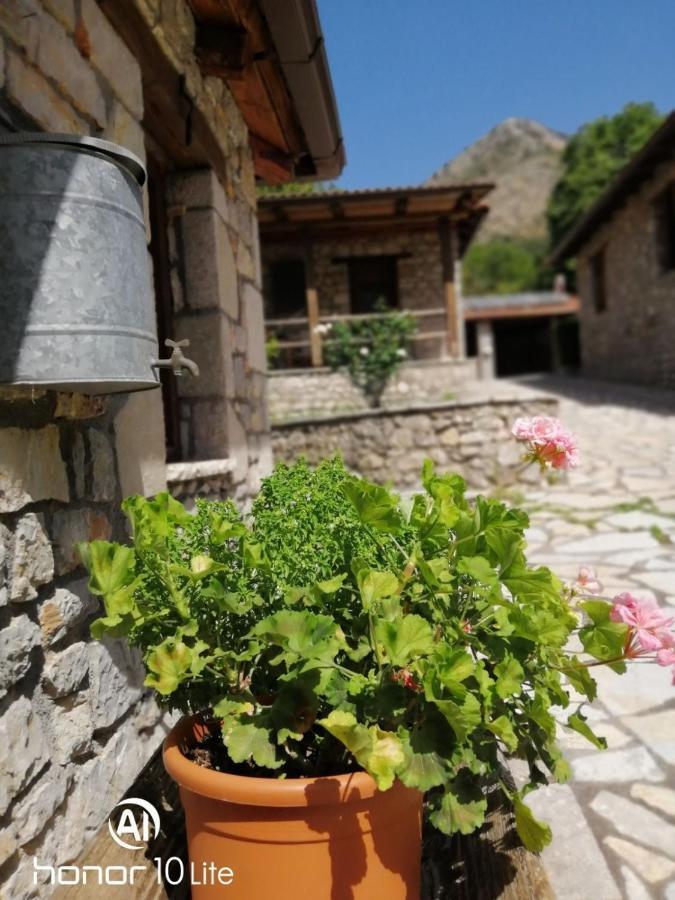 Lekhouri Petrina Theohari 빌라 외부 사진